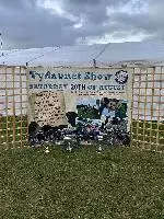 299468235-5467198040012125-9054573395671122410-n-1